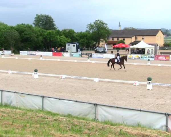 Reitturnier Mallersdorf-Pfaffenberg/Ndb. 2025