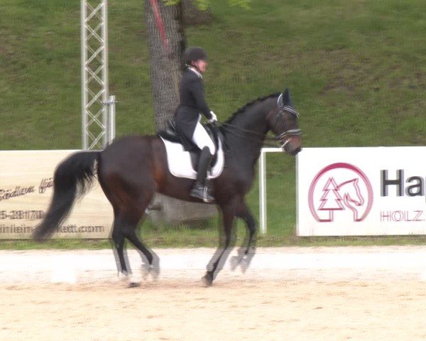 Reitturnier Stadl-Paura 2025