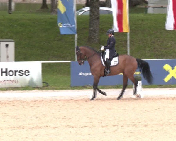 Reitturnier Stadl-Paura 2025