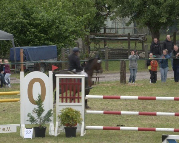 Reitturnier Buckow bei Beeskow (LOS) 2025
