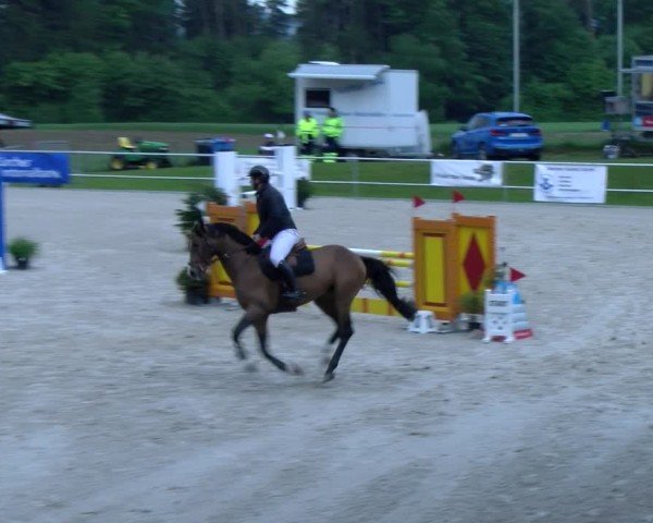 Reitturnier Meilen 2025