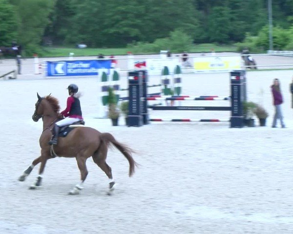 Reitturnier Meilen 2025