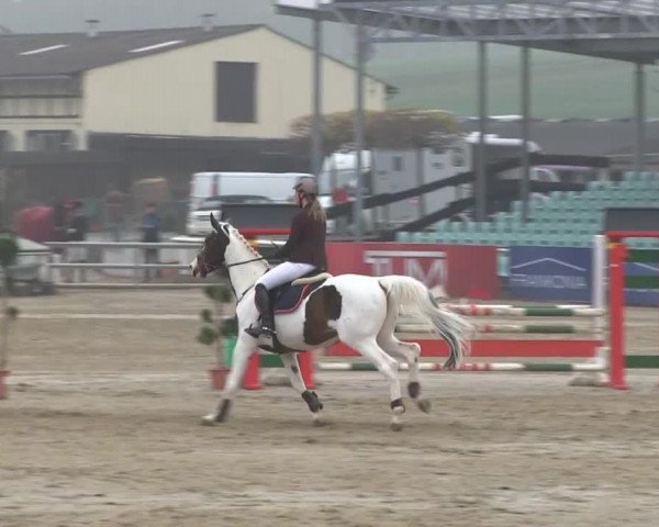 Balve-Wocklum Regio 2014