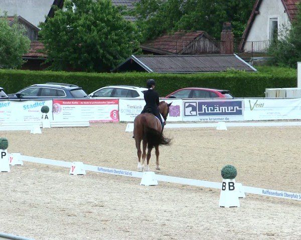 Reitturnier Mallersdorf-Pfaffenberg/Ndb. 2025