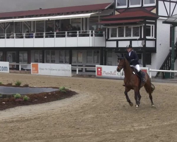 Balve-Wocklum Regio 2014