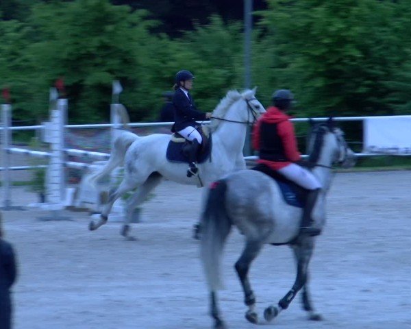 Reitturnier Meilen 2025