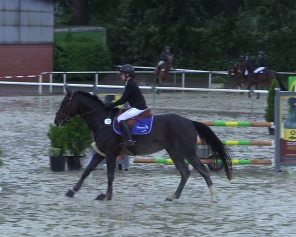 Reitturnier Ostenfelde-Vornholz 2025