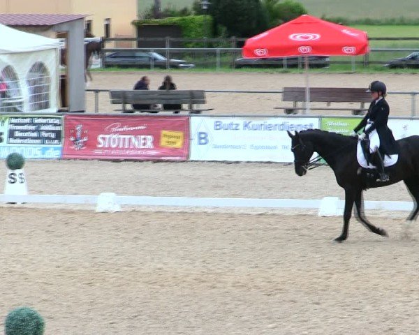 Reitturnier Mallersdorf-Pfaffenberg/Ndb. 2025