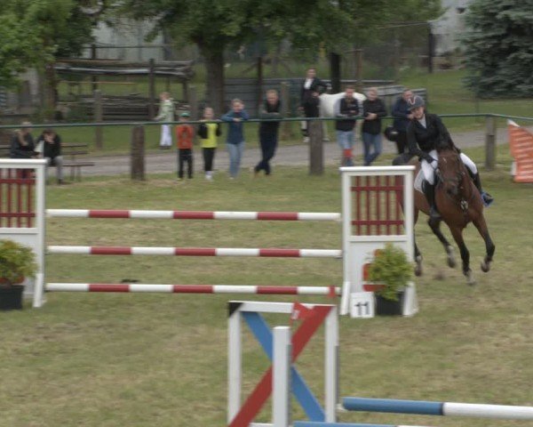 Reitturnier Buckow bei Beeskow (LOS) 2025