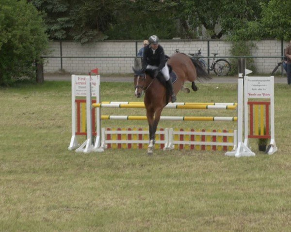 Reitturnier Buckow bei Beeskow (LOS) 2025