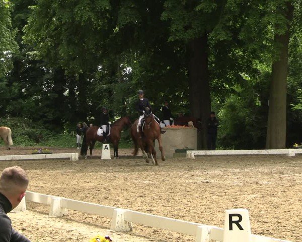 Reitturnier Königsborn 2025