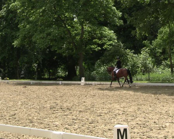 Reitturnier Königsborn 2025
