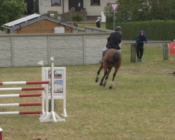 Reitturnier Buckow bei Beeskow (LOS) 2025