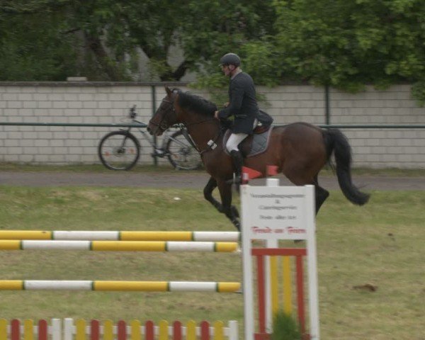 Reitturnier Buckow bei Beeskow (LOS) 2025