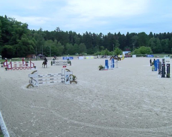 Reitturnier Meilen 2025