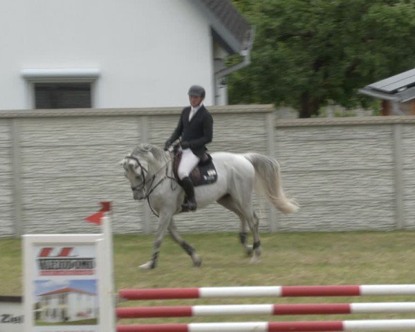 Reitturnier Buckow bei Beeskow (LOS) 2025