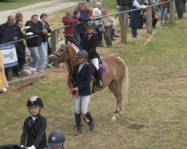 Reitturnier Buckow bei Beeskow (LOS) 2025