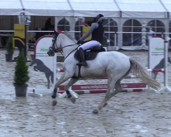 Reitturnier Ostenfelde-Vornholz 2025