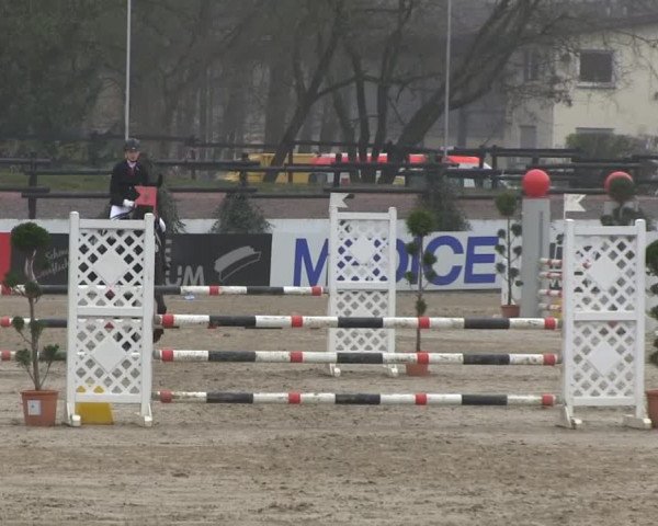 Balve-Wocklum Regio 2014