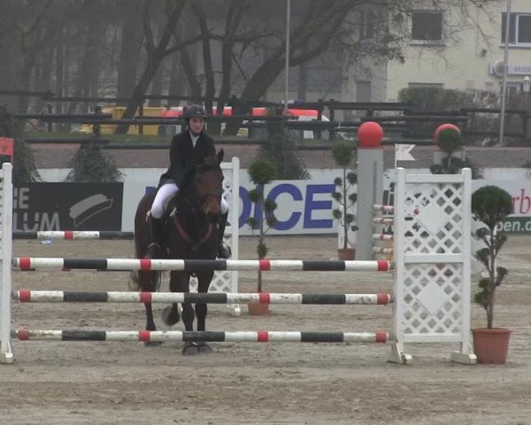 Balve-Wocklum Regio 2014