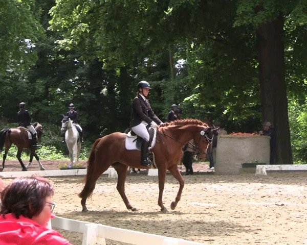 Reitturnier Königsborn 2025