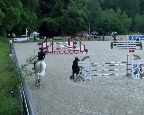 Reitturnier Meilen 2025