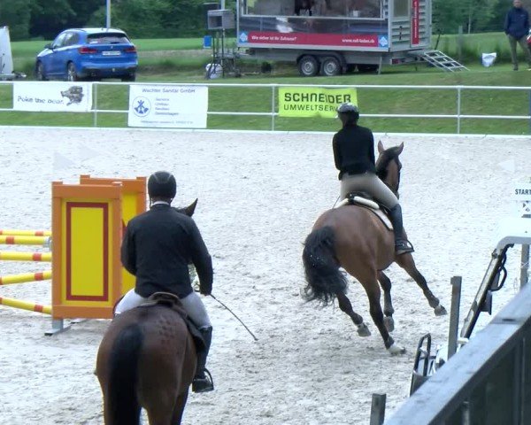 Reitturnier Meilen 2025