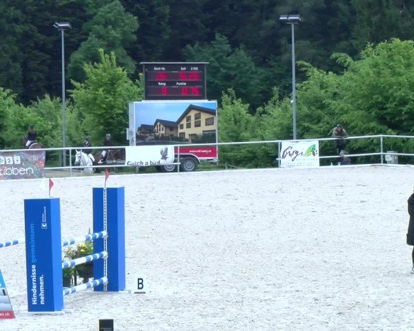 Reitturnier Meilen 2025