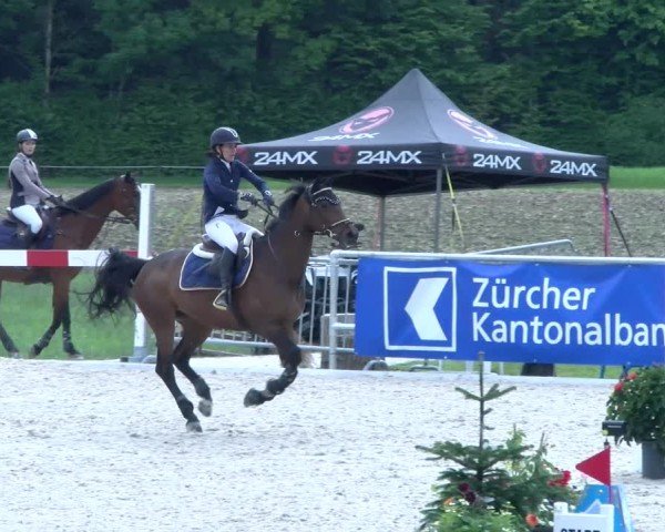 Reitturnier Meilen 2025