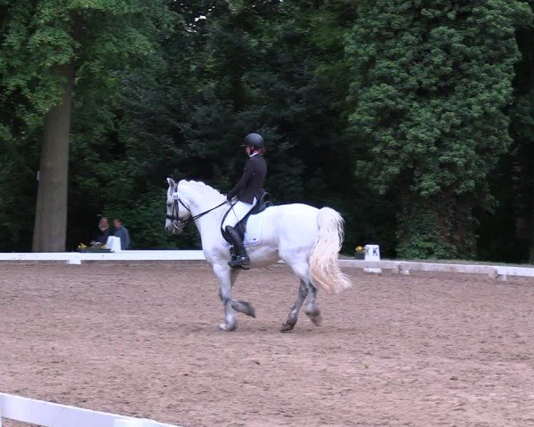 Reitturnier Königsborn 2025