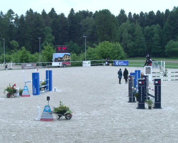 Reitturnier Meilen 2025