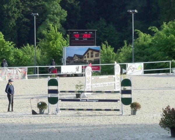 Reitturnier Meilen 2025