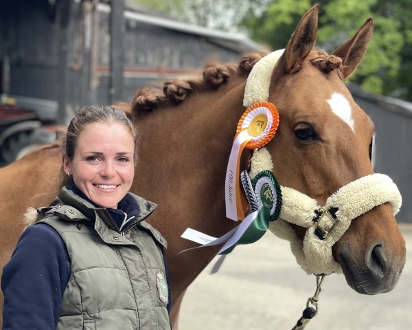 Dressurpferd Gran Sol de Zahara (Deutsches Reitpony, 2018, von Grand Royale)