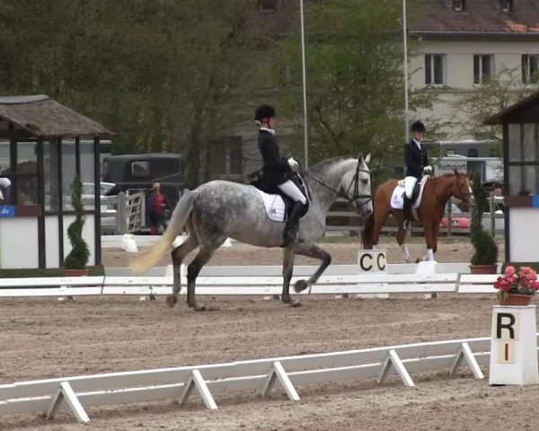 Balve-Wocklum Regio 2014