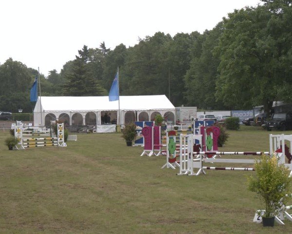Reitturnier Stadthagen 2025
