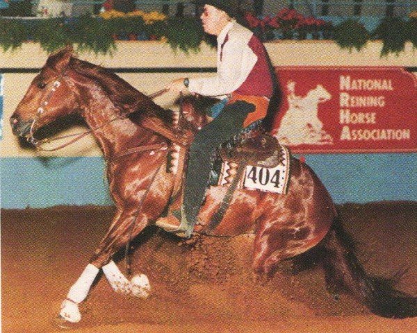 horse Tejons Lucky Playboy (Quarter Horse, 1990, from Freckles Playboy)