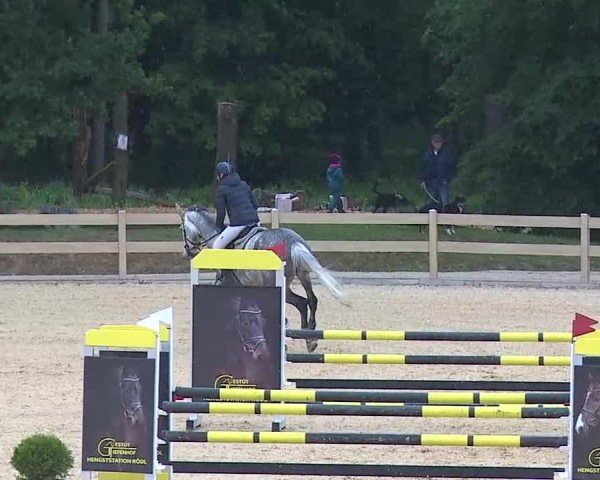 Reitturnier Tiefenhof/Opf. 2025
