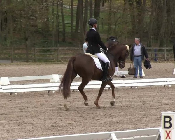 Balve-Wocklum Regio 2014