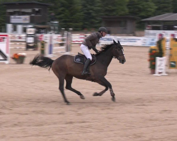 Reitturnier Ranshofen - Braunau am Inn 2025