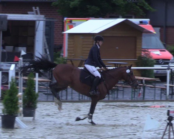 Reitturnier Ostenfelde-Vornholz 2025