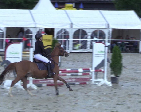Reitturnier Ostenfelde-Vornholz 2025
