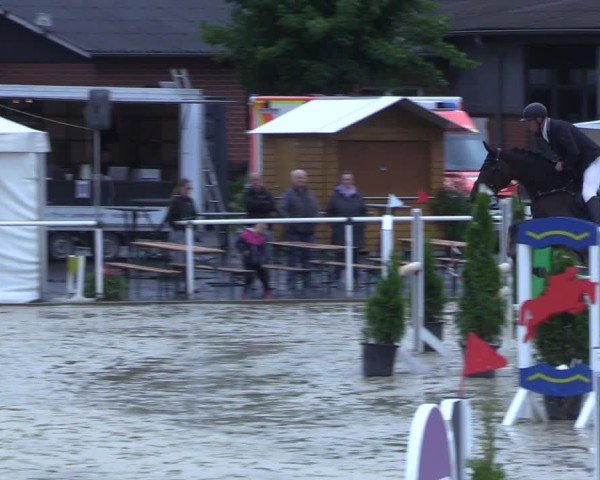 Reitturnier Ostenfelde-Vornholz 2025
