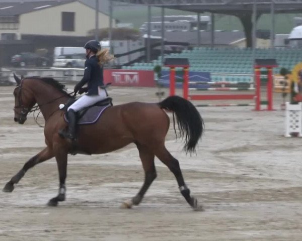 Balve-Wocklum Regio 2014