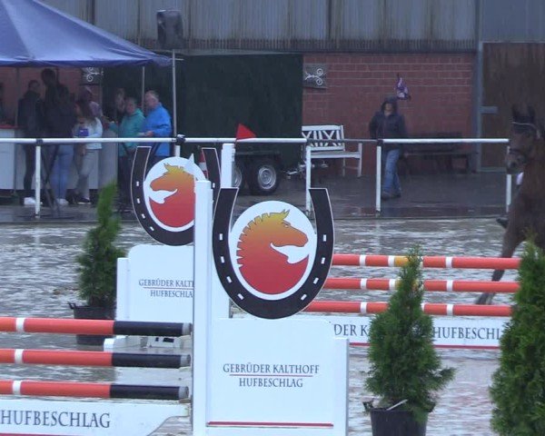 Reitturnier Ostenfelde-Vornholz 2025