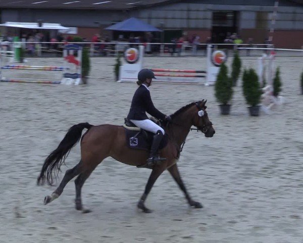 Reitturnier Ostenfelde-Vornholz 2025