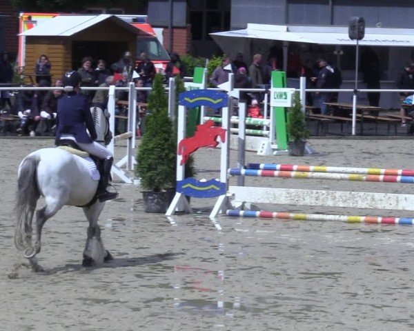 Reitturnier Ostenfelde-Vornholz 2025