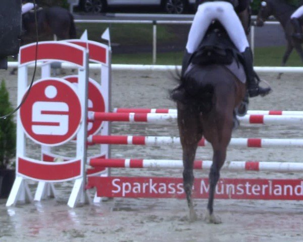 Reitturnier Ostenfelde-Vornholz 2025
