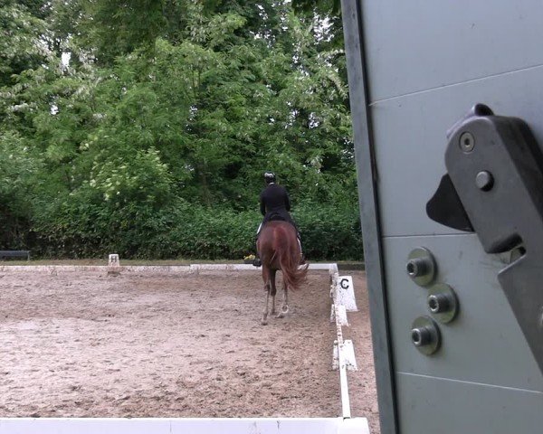 Reitturnier Königsborn 2025