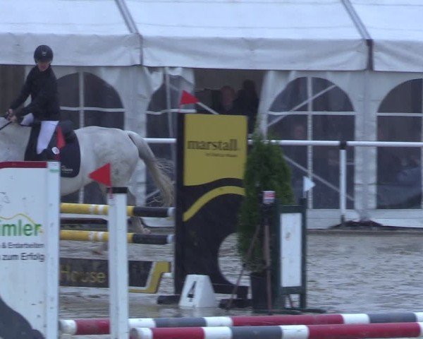 Reitturnier Ostenfelde-Vornholz 2025