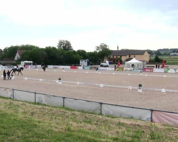 Reitturnier Mallersdorf-Pfaffenberg/Ndb. 2025
